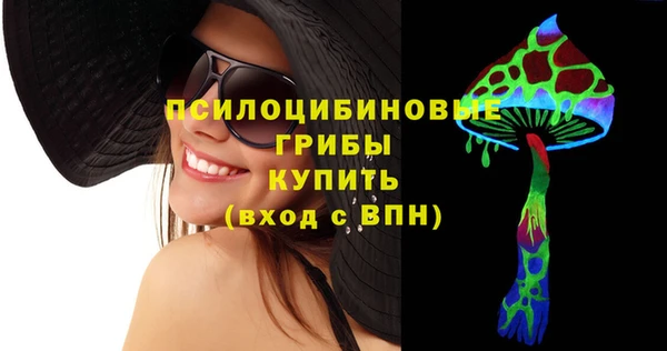 альфа пвп Няндома