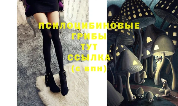 альфа пвп Няндома