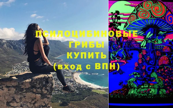 альфа пвп Няндома