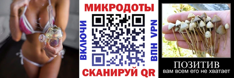 Галлюциногенные грибы мухоморы Яранск