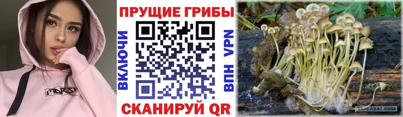 Псилоцибиновые грибы мухоморы  Яранск 